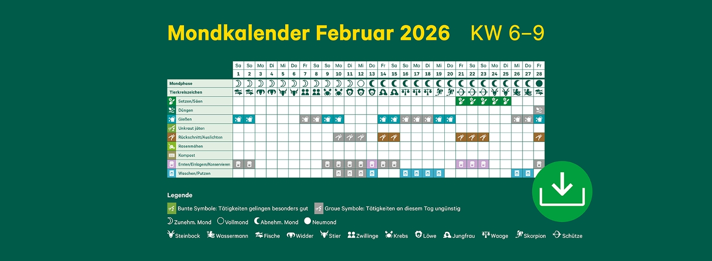Mondkalender Februar 2026