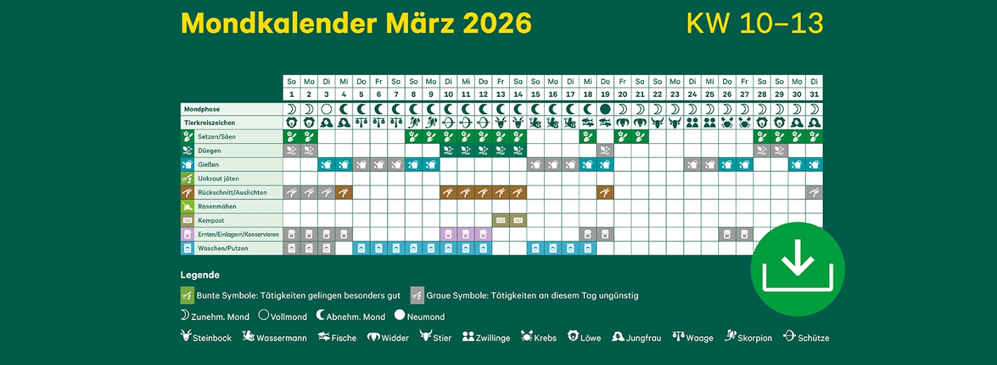 Mondkalender März 2026 mit Symbolen