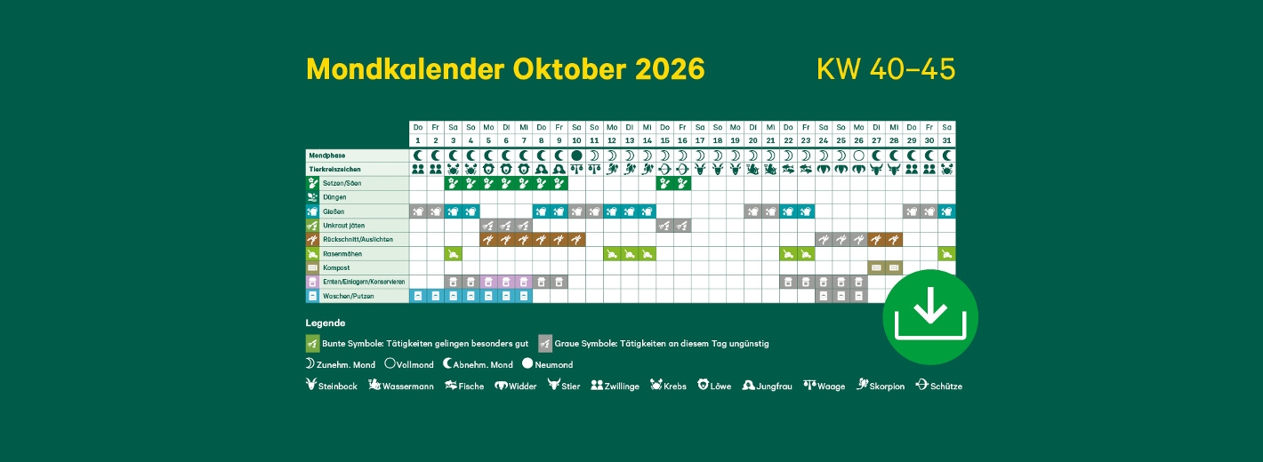 Mondkalender Oktober 2026 mit Symbolen