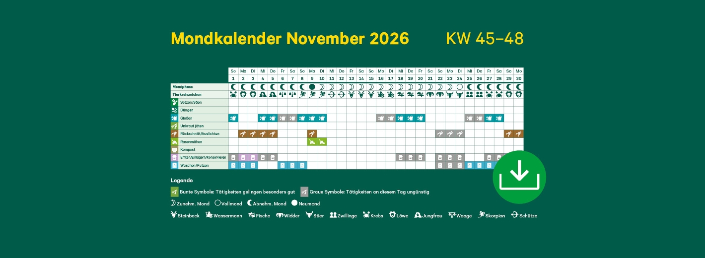Mondkalender November 2026 mit Symbolen