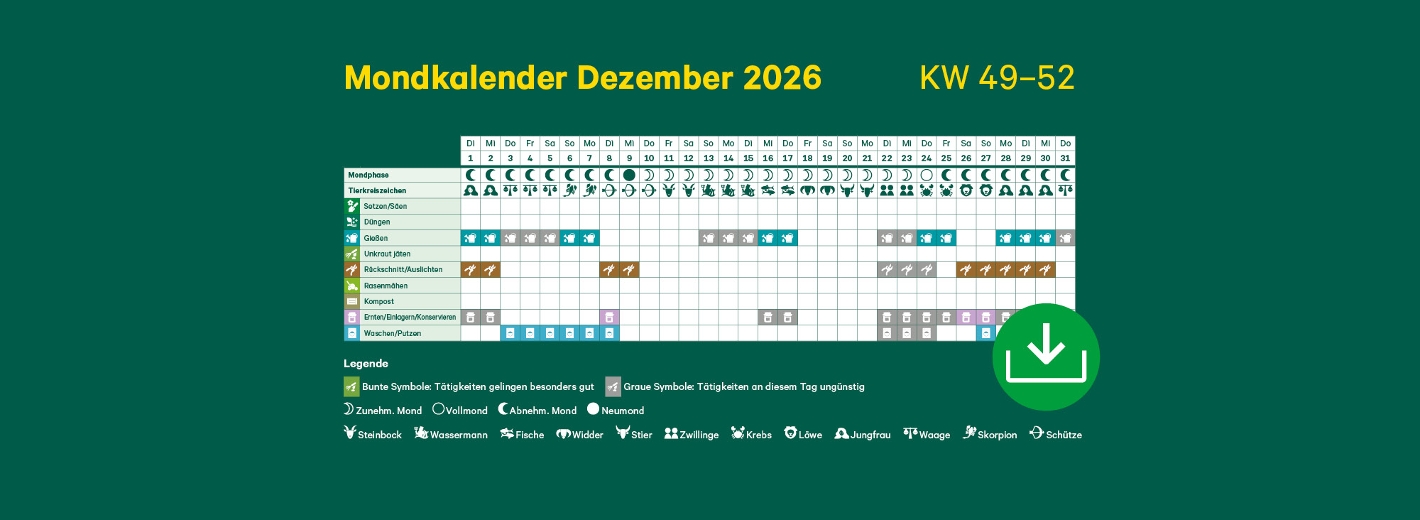 Mondkalender Dezember 2026 mit Symbolen