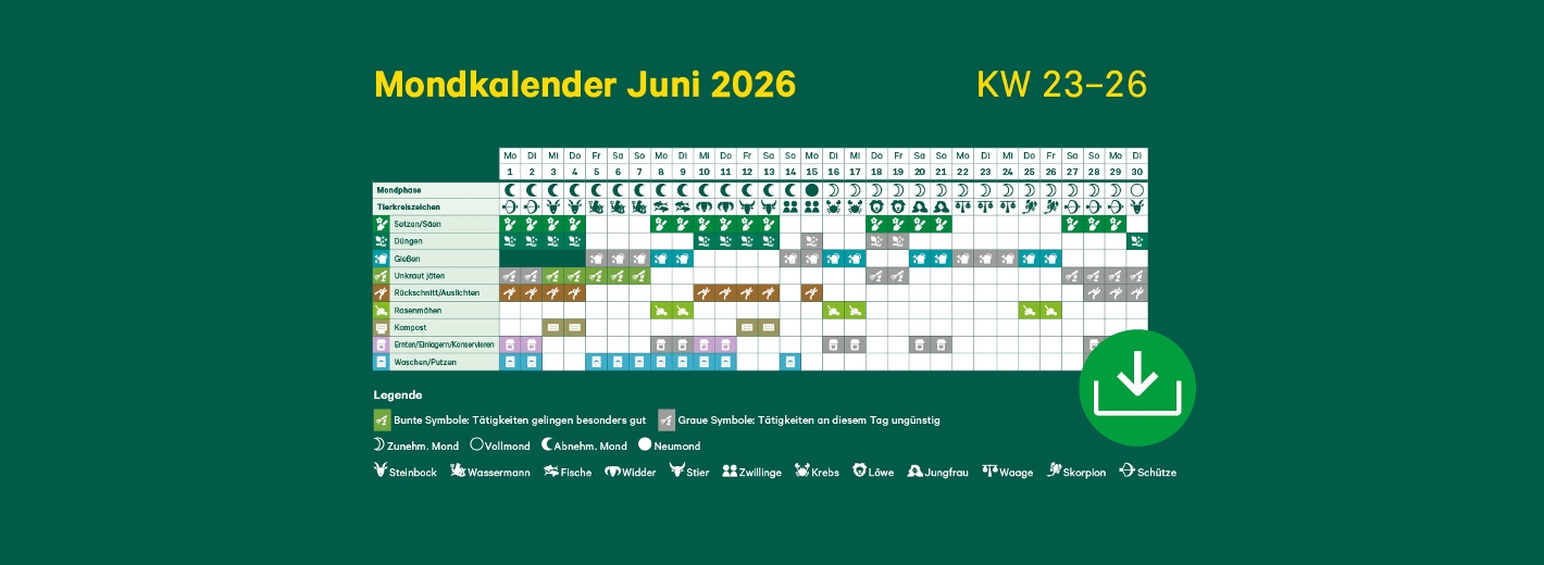 Mondkalender Juni 2026 mit Symbolen
