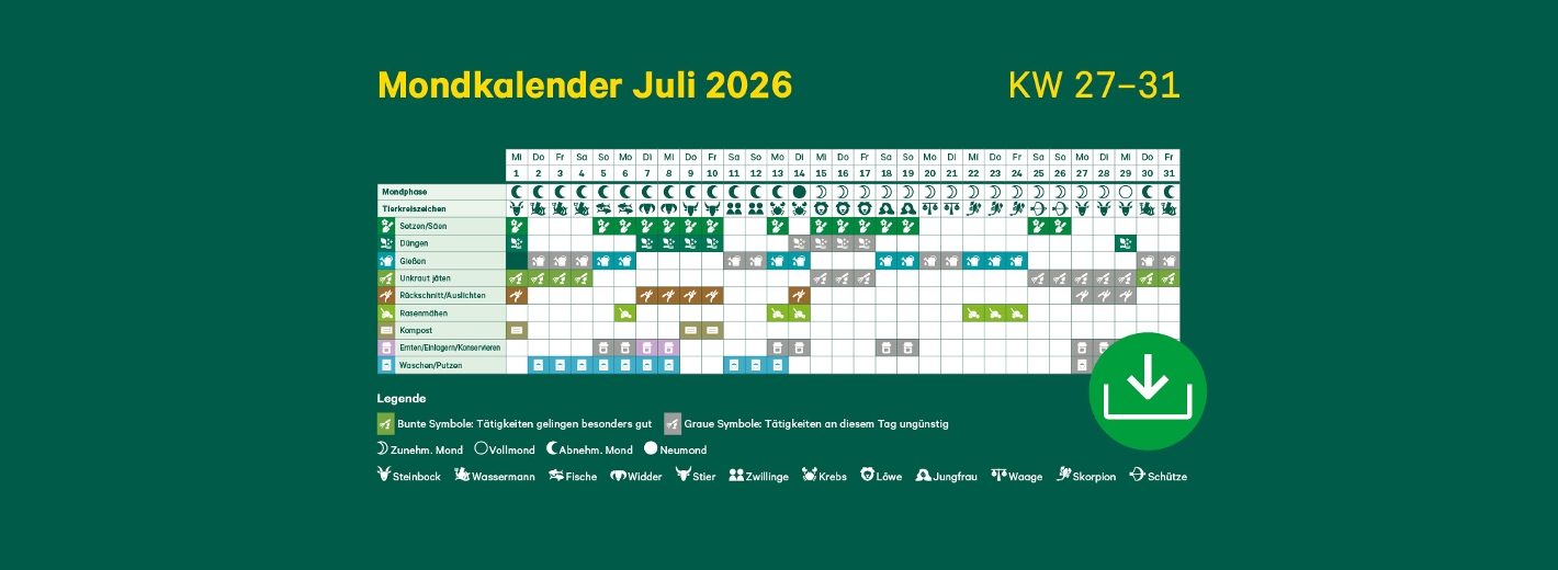 Mondkalender Juli 2026 mit Symbolen