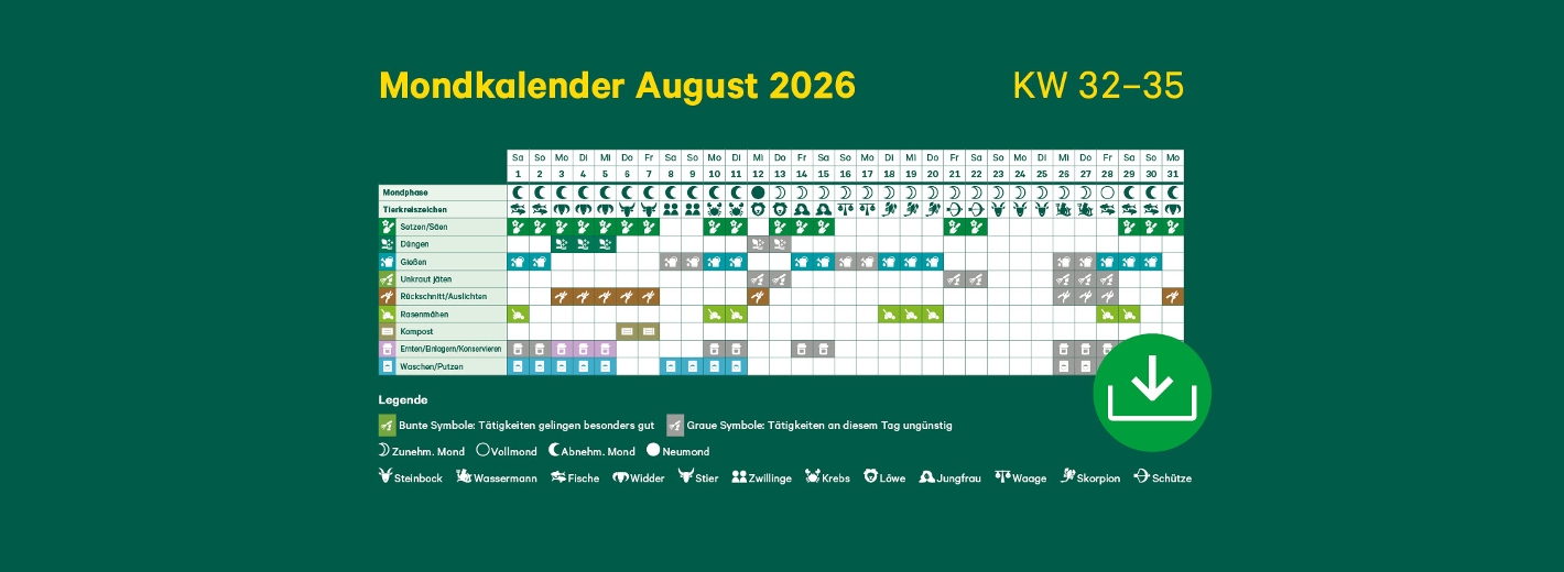 Mondkalender August 2026 mit Symbolen