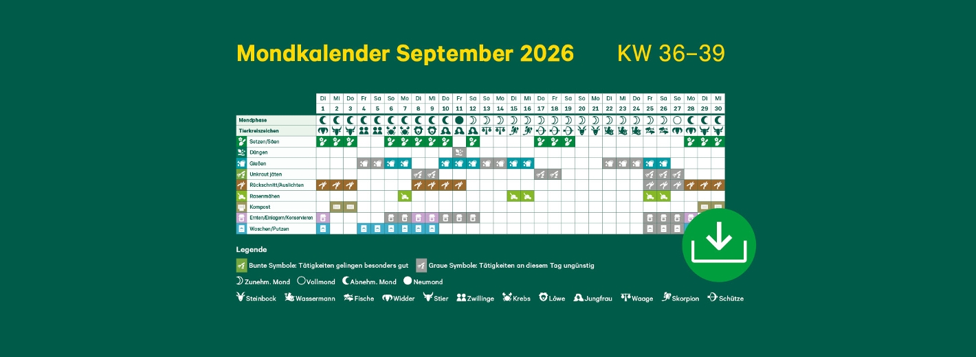 Mondkalender September 2026 mit Symbolen