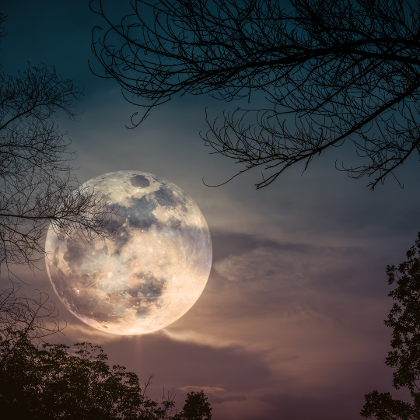 Vollmond