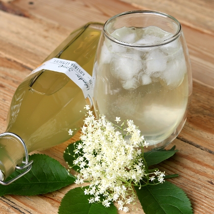 Holundersirup selber machen