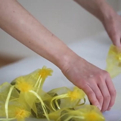 DIY Samenbomben