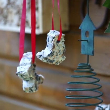 Dateiname DIY Vogel-Kraftfutter