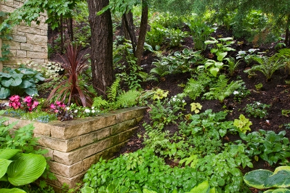 Schattiger Garten