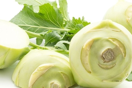 Kohlrabipflanzen