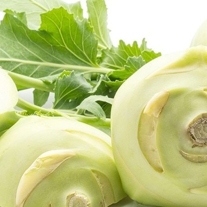 Kohlrabipflanzen