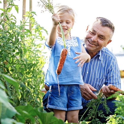 Vater mit Kind im Gemüsegarten