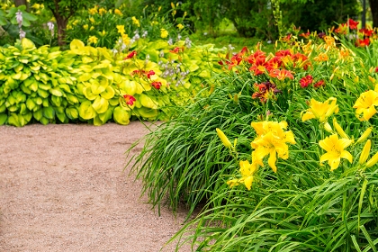 Kiesweg neben blühenden Blumenbeeten