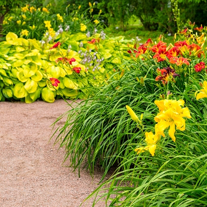 Kiesweg neben blühenden Blumenbeeten