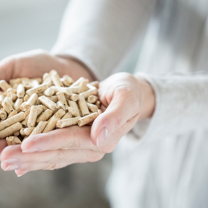 Holzpellets in Hand