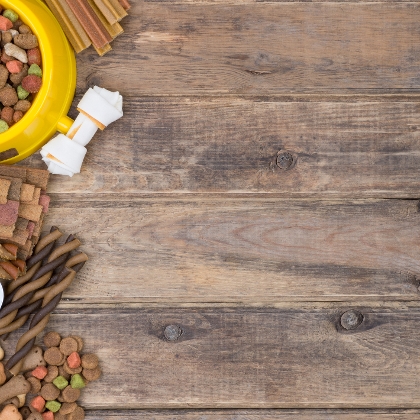 Hundefutter und Futternapf