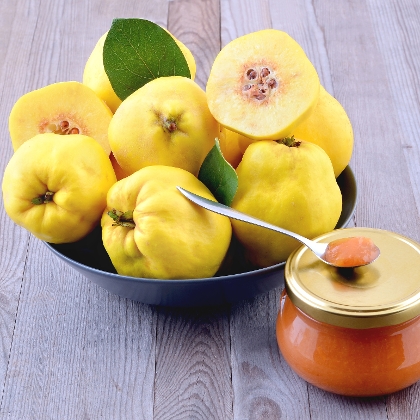 Quittenmarmelade