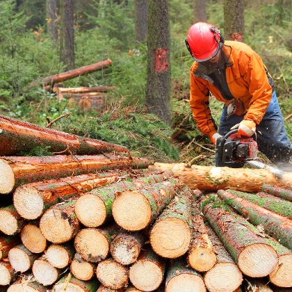 Mann mit Säge bearbeitet Holz
