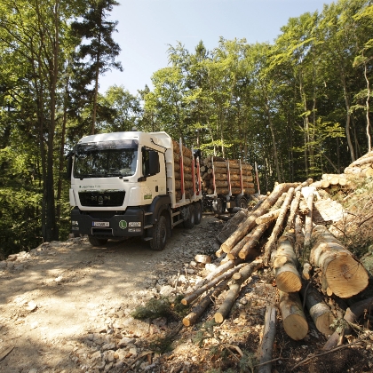 Lagerhaus Lastwagen im Wald beim Verladen von Holz