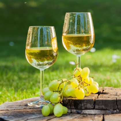 zwei Weingläser befüllt mit Weißwein auf einem Tisch im Garten