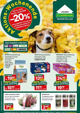 Flugblatt Oktober 2026 Anfang