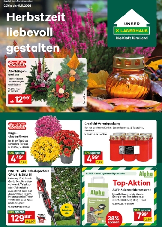 Herbstzeit liebevoll gestalten. Angebote gültig bis 1.11.2026, Allerheiligengestecke, Grablichter in Aktion