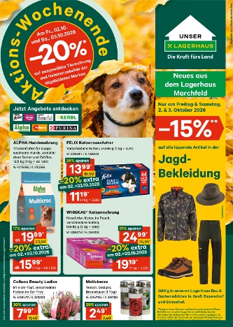 Flugblatt Oktober Anfang
