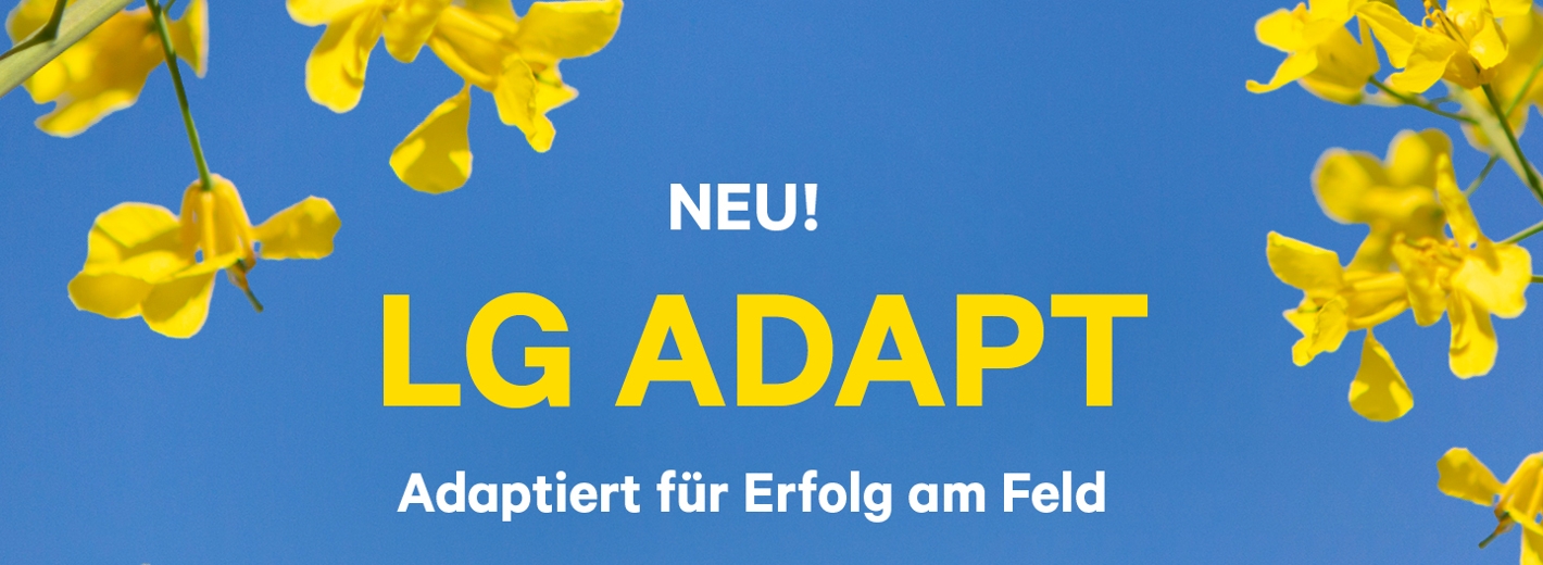 Rapsblüte vor himmelblauem Hintergrund. NEU! LG ADAPT - Adaptiert für Erfolg am Feld.